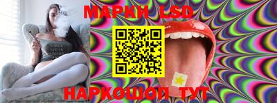 PSILOCYBIN Новозыбков
