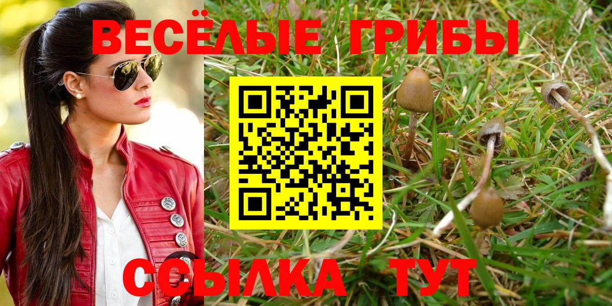 Галлюциногенные грибы мицелий Химки