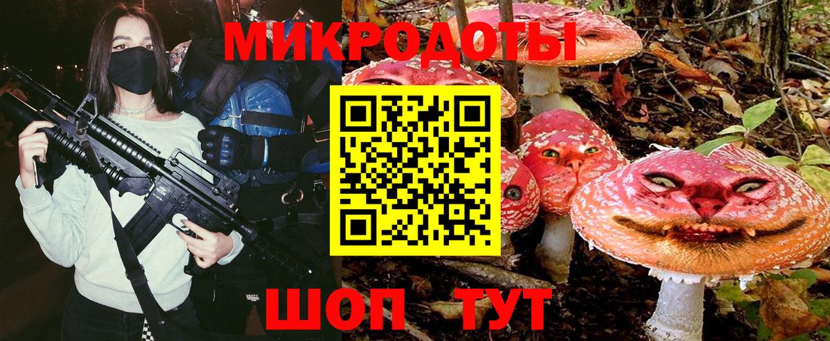 Псилоцибиновые грибы GOLDEN TEACHER  Вход с VPN  Химки 